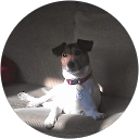 Clare Worth profile picture